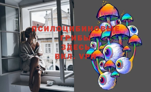 спиды Алексеевка
