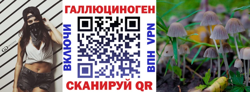 закладка  OMG онион  Галлюциногенные грибы Psilocybine cubensis  Новоаннинский 